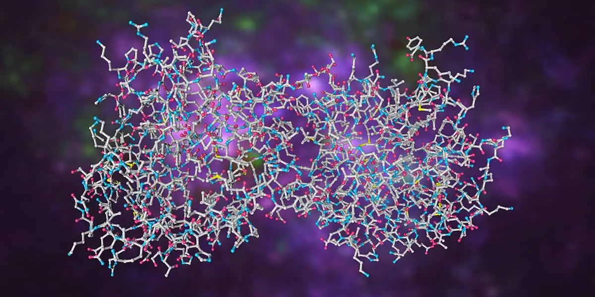 Fusion Proteins: Engineering the Next Generation of Biologic Therapies