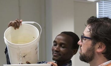 Low-Cost Technology Improves Drinking Water in Developing Countries