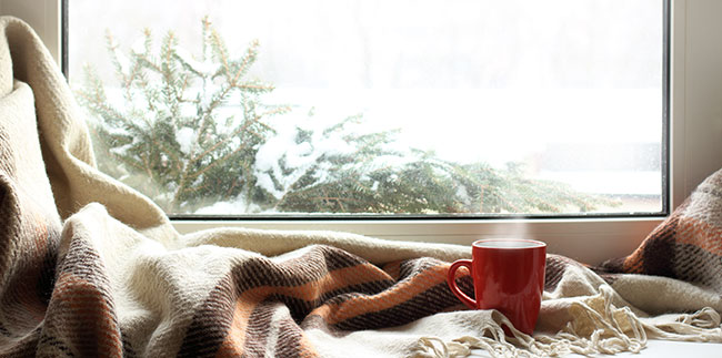 How to be Productive Over Winter Break - Pandemic Edition