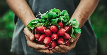 Organic Food: Market Trends You Need To Know