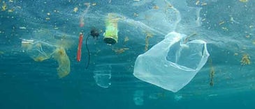 Recycled Ocean Plastics: Major Market Players