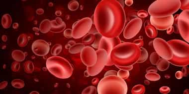 Global Blood Platelet Market: Trends, Growth Drivers, and Future Outlook