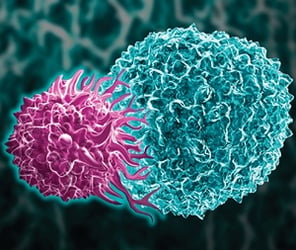 Engineered Proteins: Important Tools in the Armamentarium for Cancer
