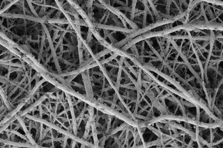 Global Markets for Catheters: Trends, Growth Drivers & Outlook