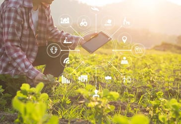 The 5 Leading Companies in IoT Smart Agriculture