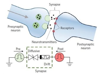 Novel Nanodevice Mimics Human Biological Synapses