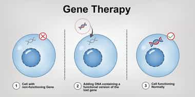 The Global Market for Cell and Gene Therapy: A Promising Frontier