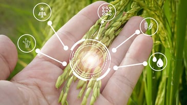 AI in Agriculture: Why This $8.5 Billion Market Is Becoming the Next Big Trading Opportunity AI in Agriculture: Why This $8.5 Billion Market Is Becoming the Next Big Trading Opportunity