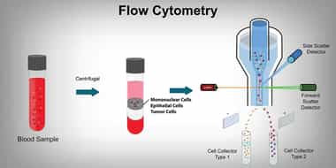 Flow Cytometry Unveiled: Products, Technologies, and Their Global Market Footprint