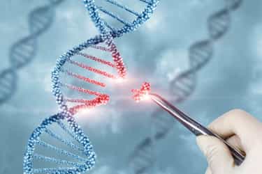 Whole Genome Sequencing: Transforming Healthcare and Driving Market Growth