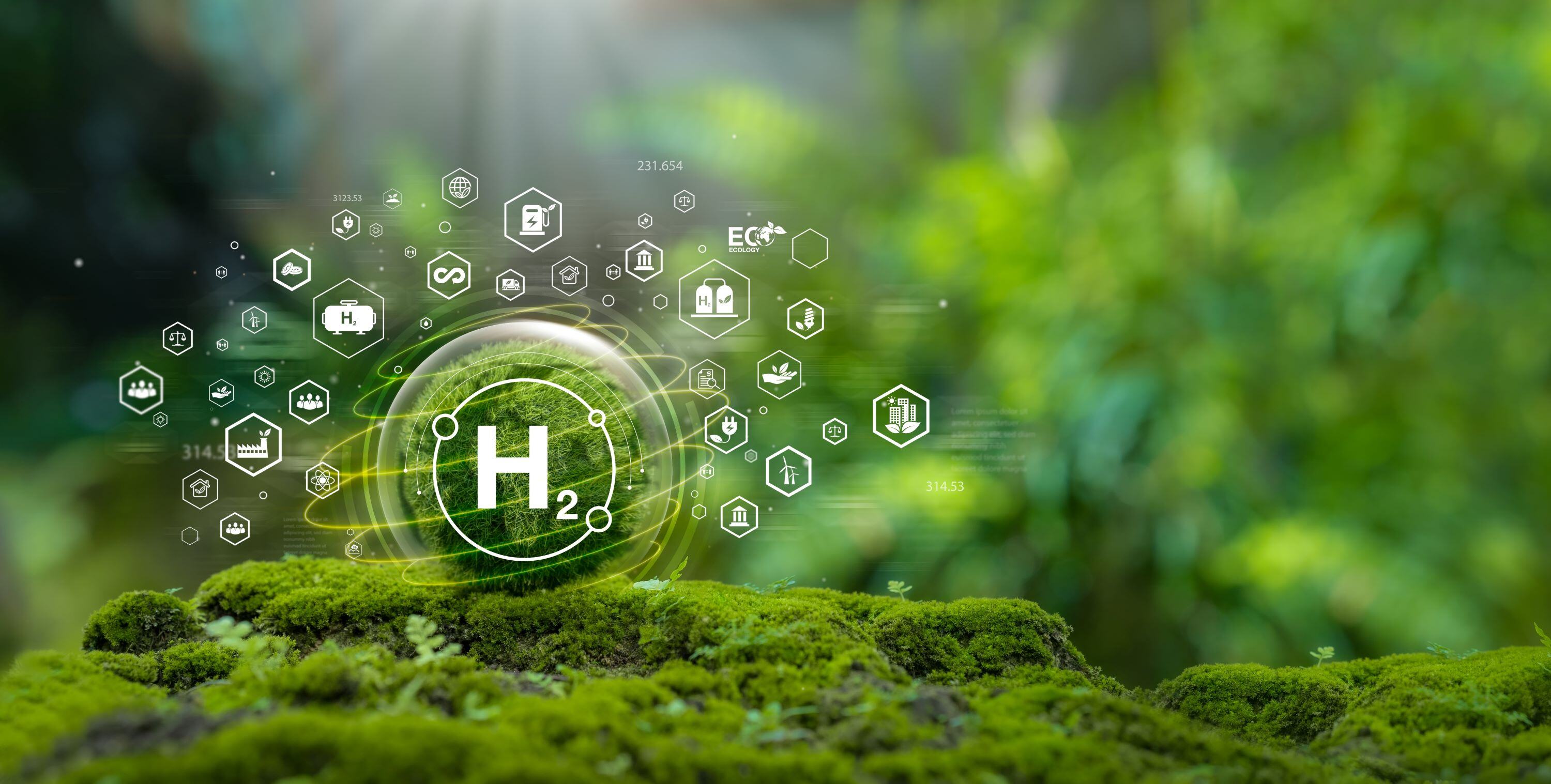 Analyzing the Innovation Trends in Hydrogen Energy Storage