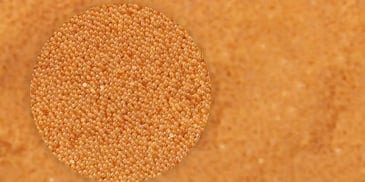 Ion Exchange Materials: The $5.9 Billion Market Powering Clean Water, Green Hydrogen and Energy Storage