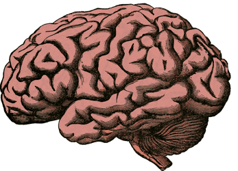 Neurology Market: Unlocking the Future of Brain Health