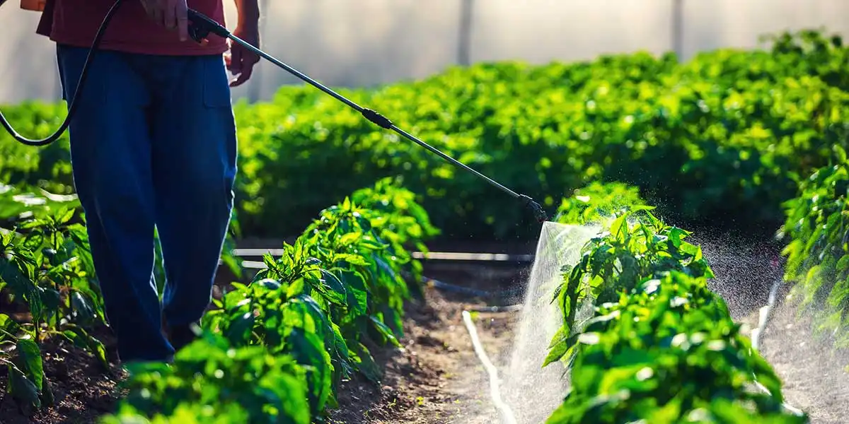 An Economic Conflict Between China and the United States: Restructuring the Global Pesticide Industry