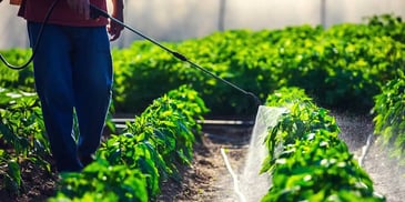 An Economic Conflict Between China and the United States: Restructuring the Global Pesticide Industry