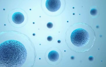 Primary Cell Industry Continues Upward Trend