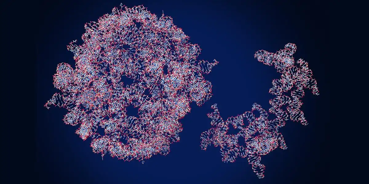 mRNA Therapeutics Market: Trends, Size, and Global Outlook