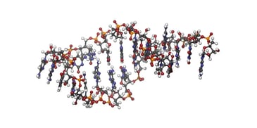 The RNAi Market: Unlocking the Future of Genetic Medicine