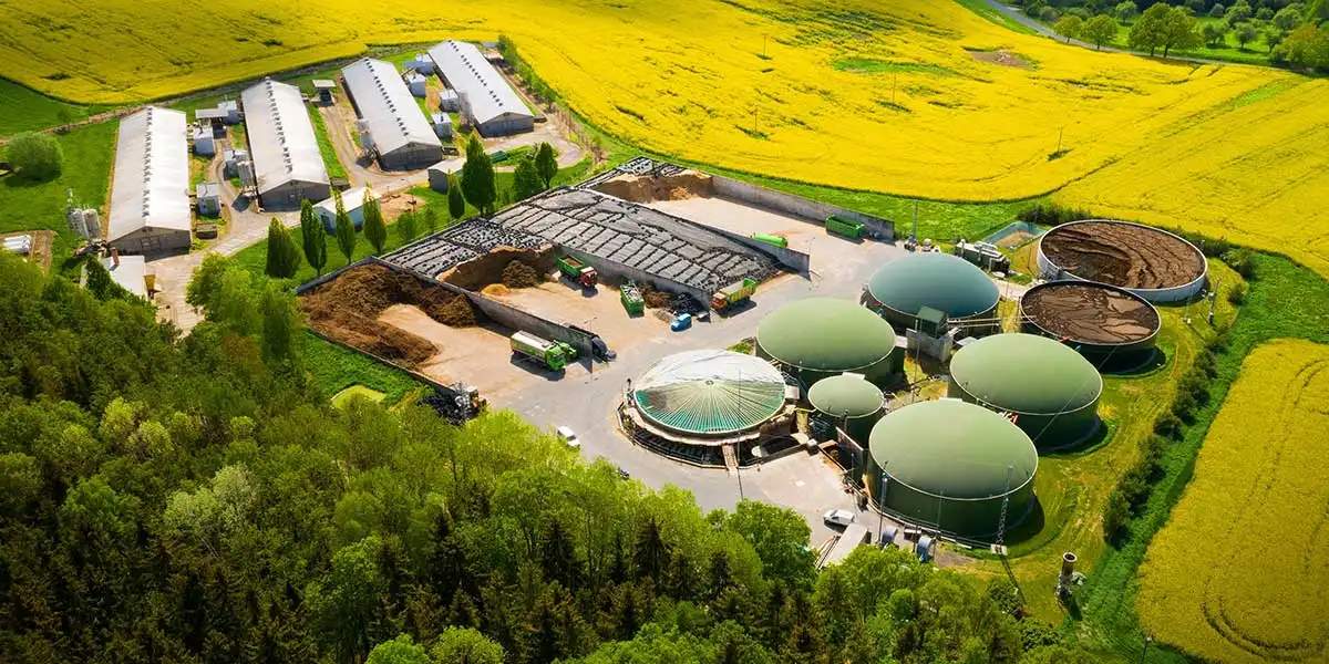 Smarter Biofuels for a Low-Carbon Future: The Role of AI