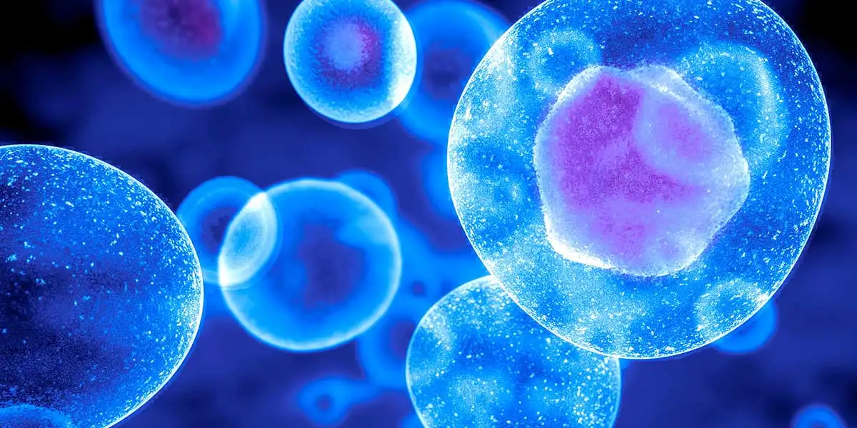 Cloud Computing in Life Sciences: A $15.6 Billion Market Growing at 16.7% CAGR