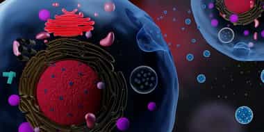 Top Trends Shaping Exosome Diagnostics and Therapeutics Market in 2024