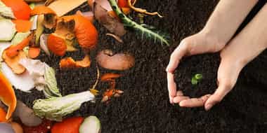 Earth's Essence: Organic Fertilizers for Sustainable Growth