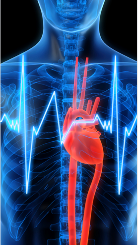 Interventional Cardiovascular Devices Pumping Growth in Global Market