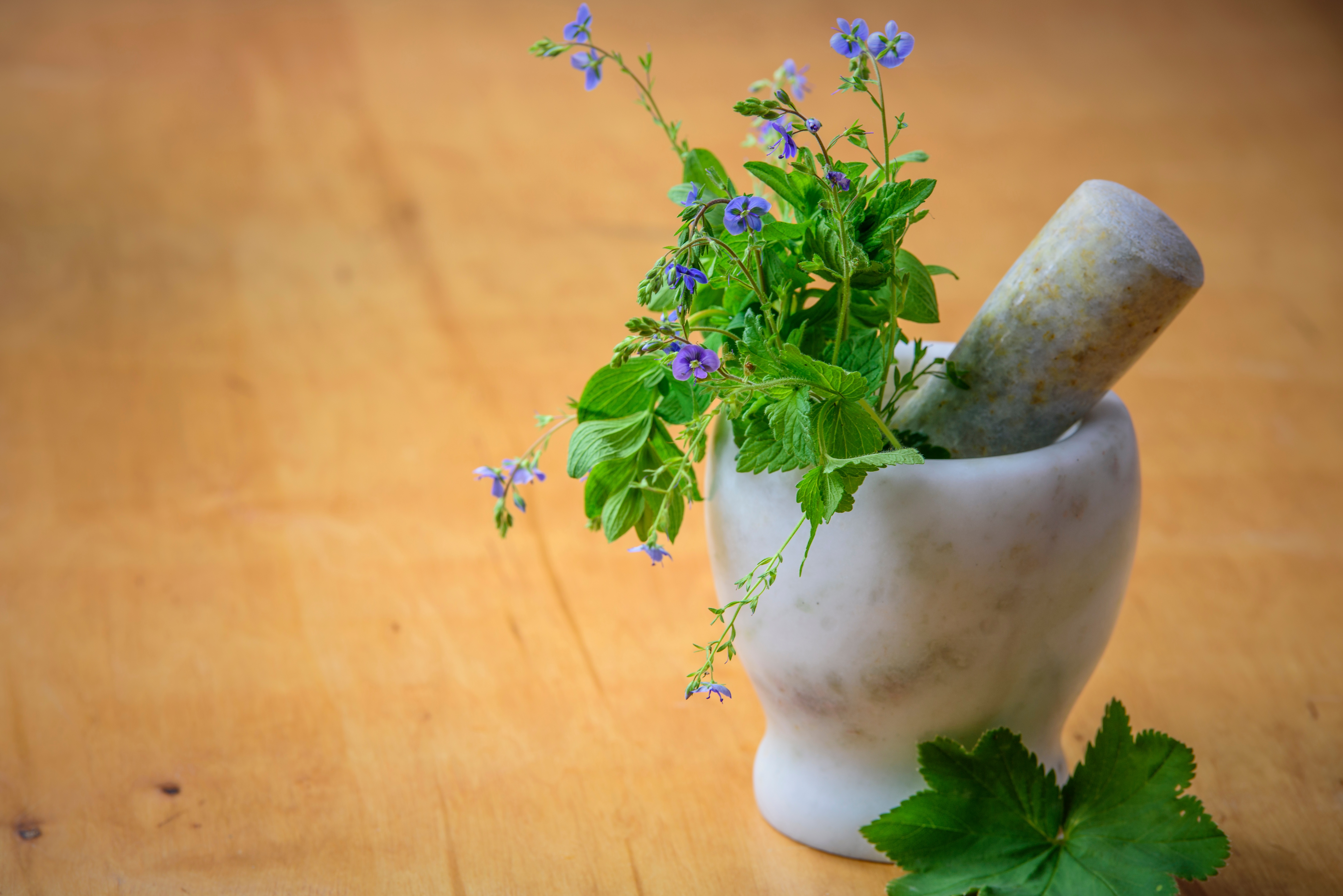 Interest in Botanicals is Blossoming: Global Market Set to Grow By 50%