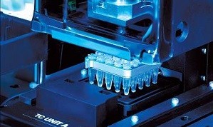The Brave New Applications of PCR Technology