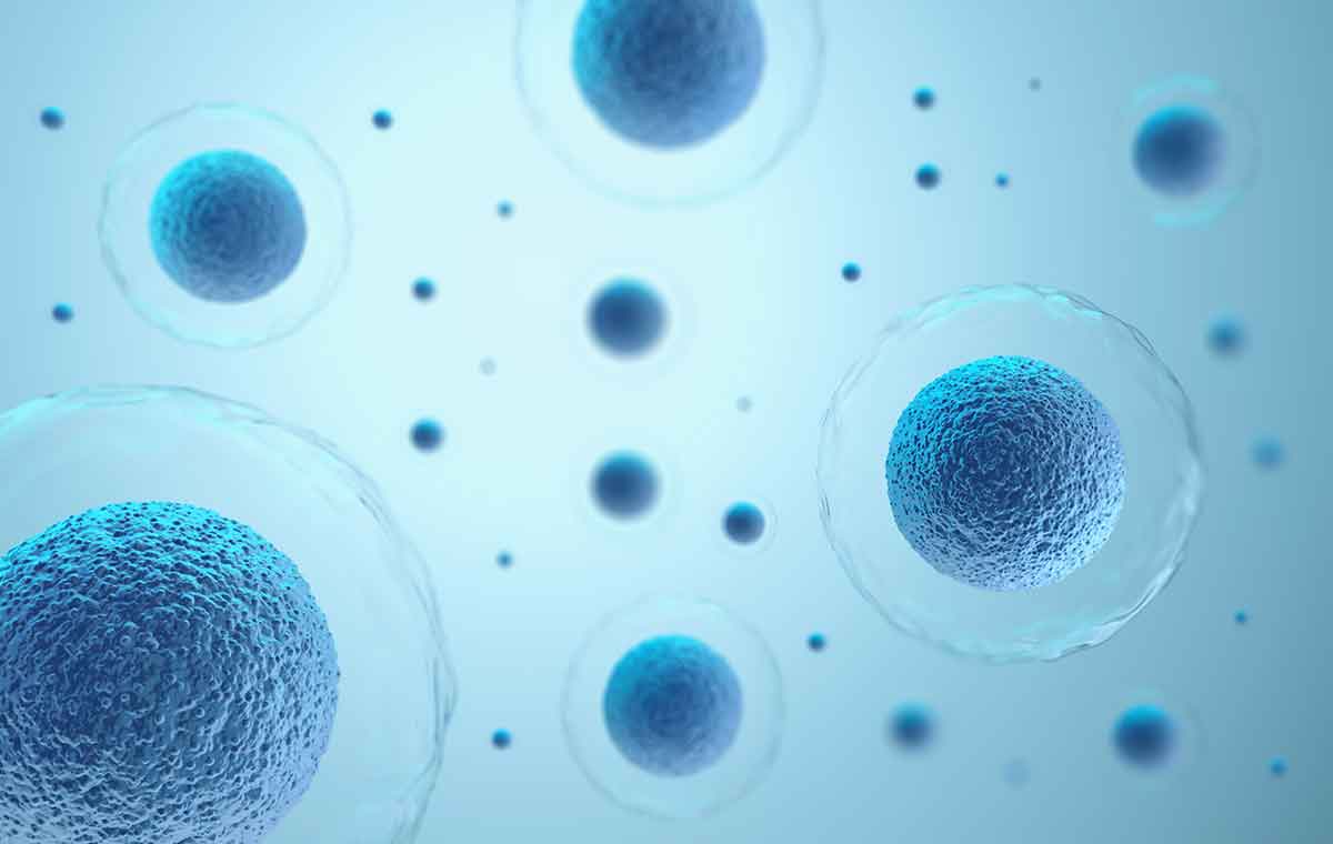 Primary Cell Industry Continues Upward Trend
