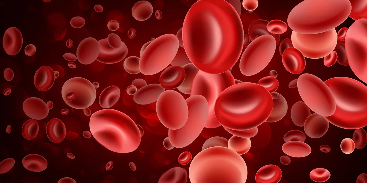 The top 10 companies for blood plasma products