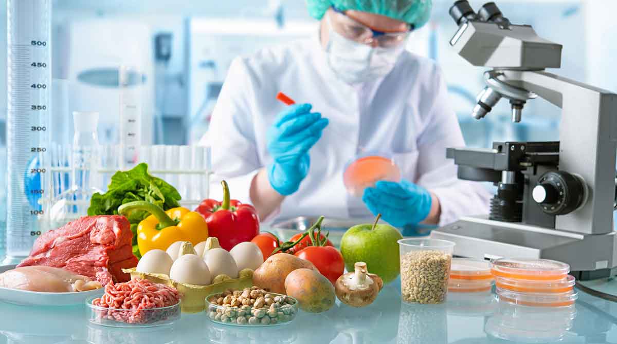 Food Testing: Why Is It So Important?