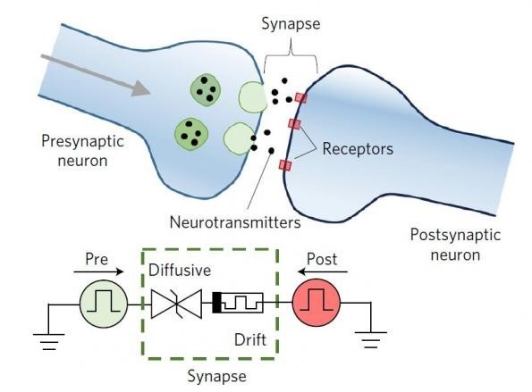 Novel Nanodevice Mimics Human Biological Synapses