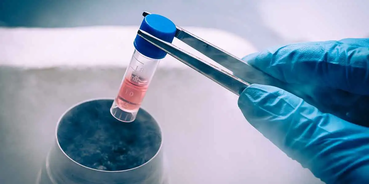 How stem cells are used in regenerative medicine 