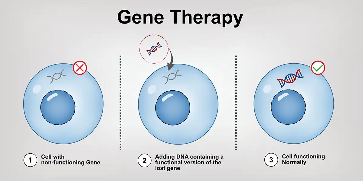 Top 5 Companies Shaping the Cell & Gene Therapy Market