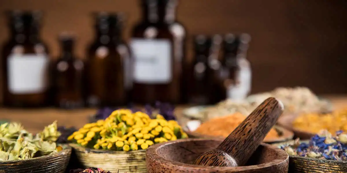 How is the Global Herbal Medicine Market transforming?