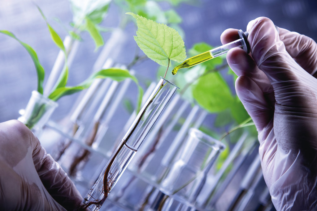 Understanding the Crop Protection Chemicals Market: Trends, Drivers, and Future Prospects