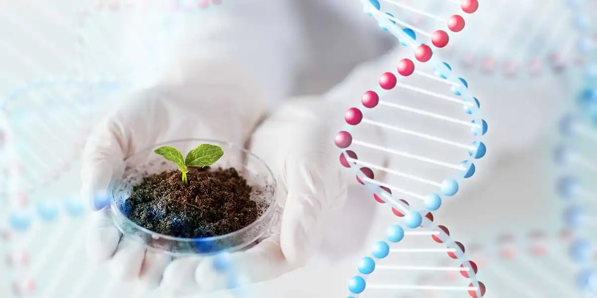 Molecular Farming: Transforming Agriculture for the Future