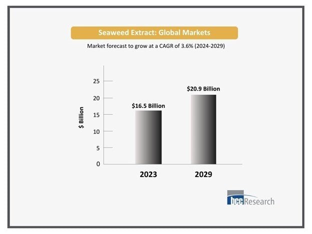 Exploring Growth Potential of the Seaweed Extracts Market