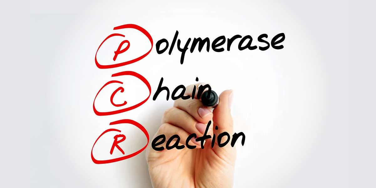 Future Top Trends Shaping the Polymerase Chain Reaction (PCR) Market