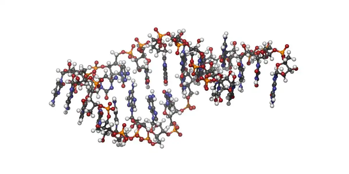 The RNAi Market: Unlocking the Future of Genetic Medicine