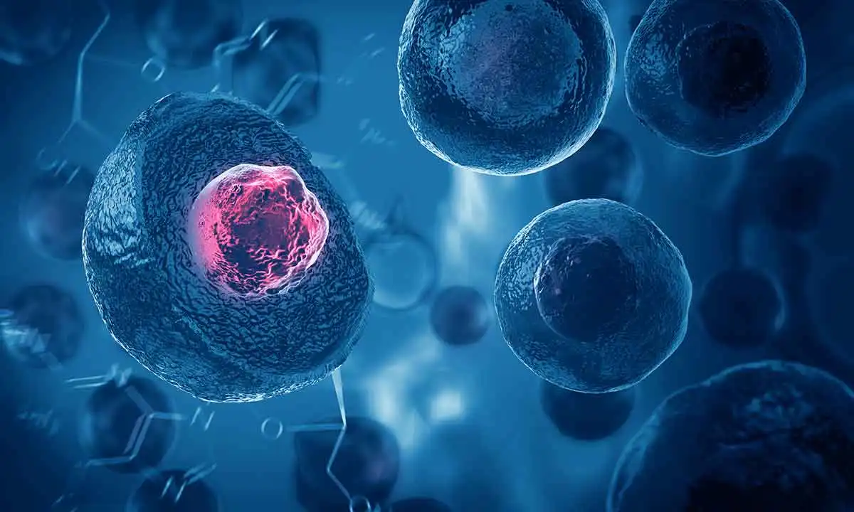 The development of cancer stem cell technologies: A triumph or ethical debate?