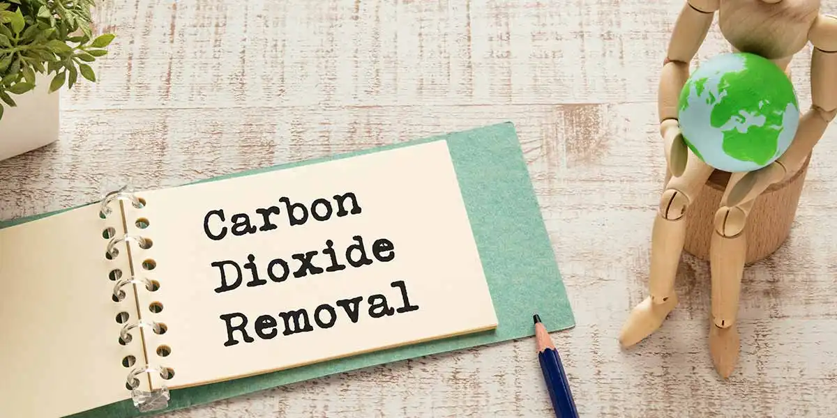 From Pollution to Solution: Carbon Dioxide Removal Technologies