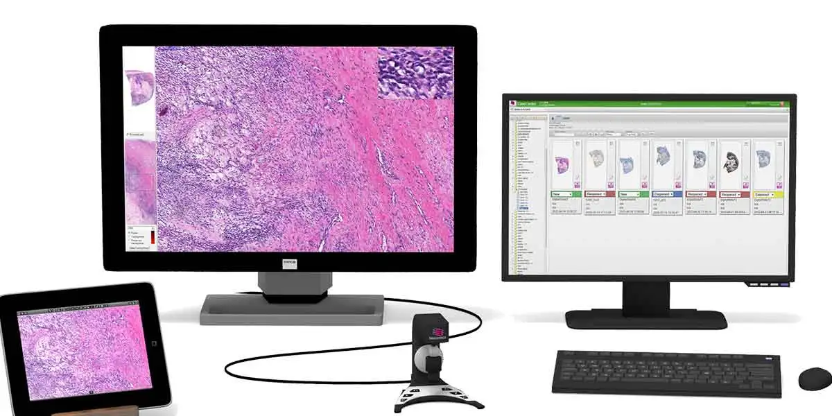 Digital Pathology Getting Closer to the Clinic in the US