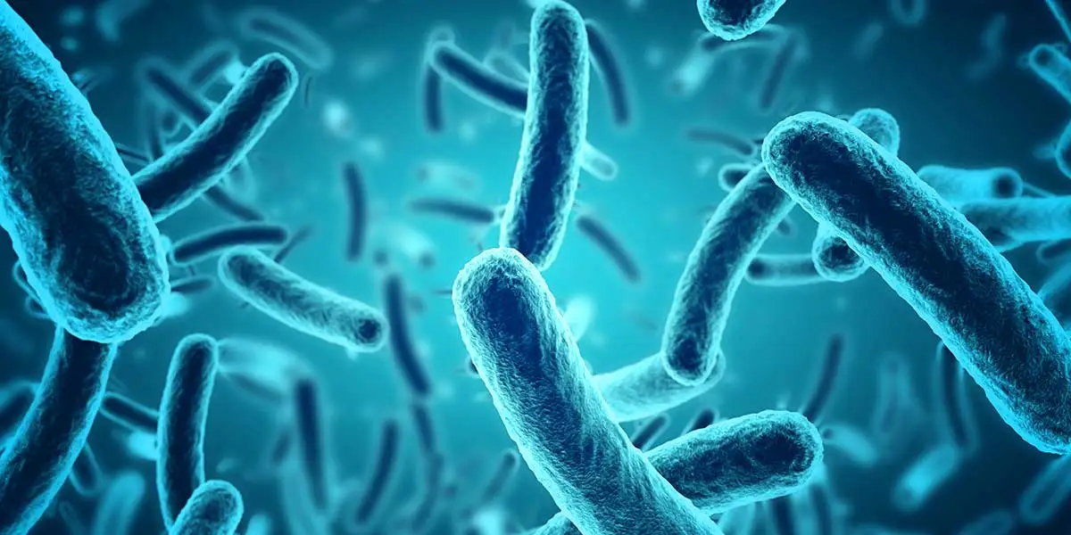 The Top Five Companies in The Microbial Products Industry