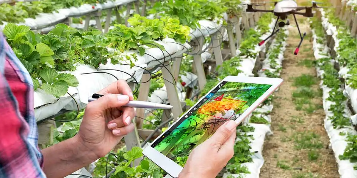 Growing with Precision: A New Era in Agriculture