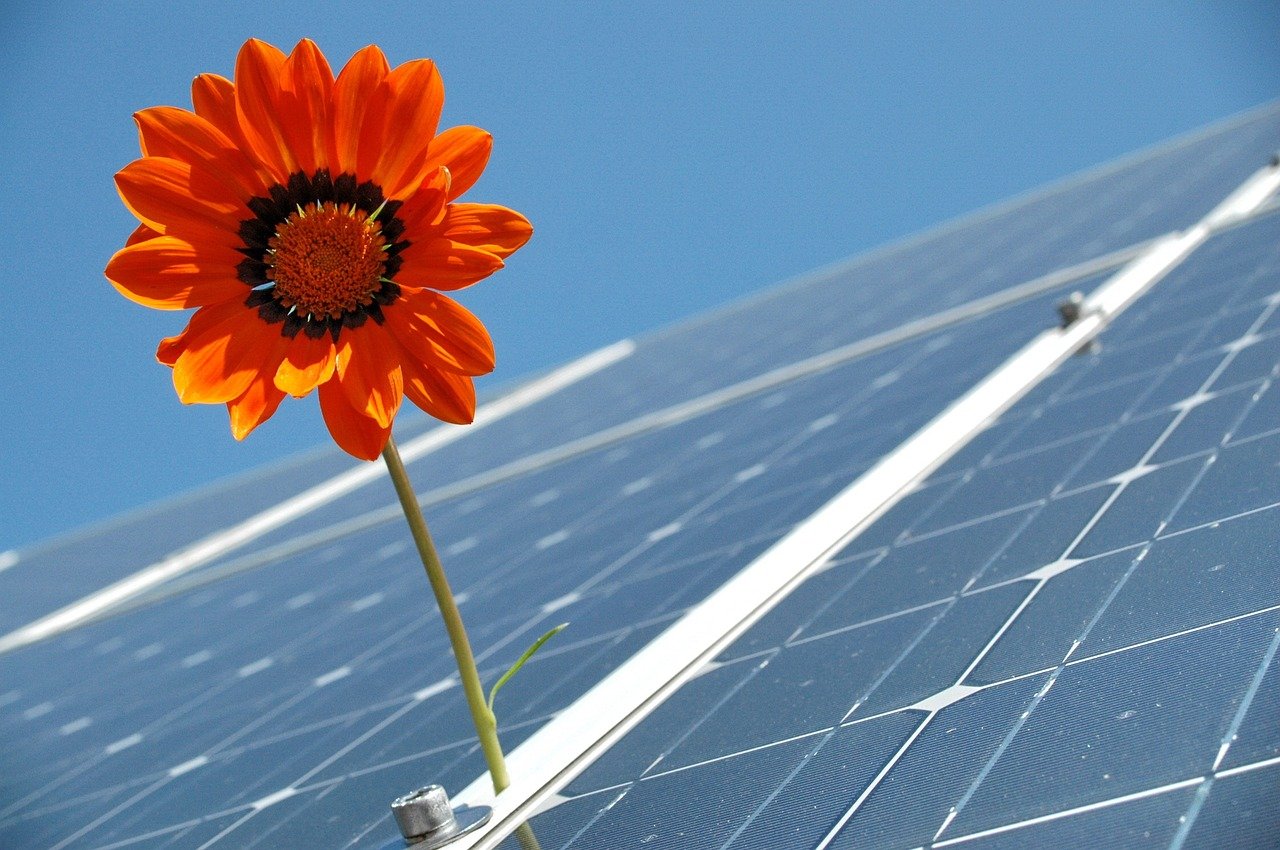 The Booming Renewable Energy Market: Powering a Sustainable Future